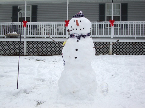 snowman house